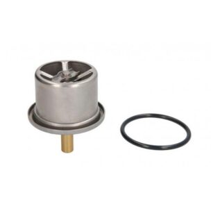 1953171 2124041 TERMOSTAT 91’LİK DAF XF-CF £6
